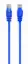 Picture of Gembird CAT6 UTP Patch cord 1m Blue PP6U-1M/B