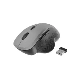 Picture of Gembird 6-button wireless optical mouse,  black-space grey MUSW-6B-02-BG