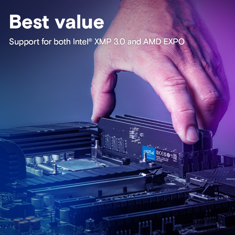 Picture of Crucial 16GB DDR5-5600    CT16G56C46U5