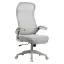 Picture of ONEX SKYFLEX Mesh Office/Gaming Chair / ONEX-SKYFLEX-GR
